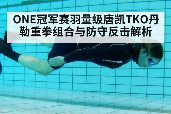 ONE冠军赛羽量级唐凯TKO丹勒重拳组合与防守反击解析